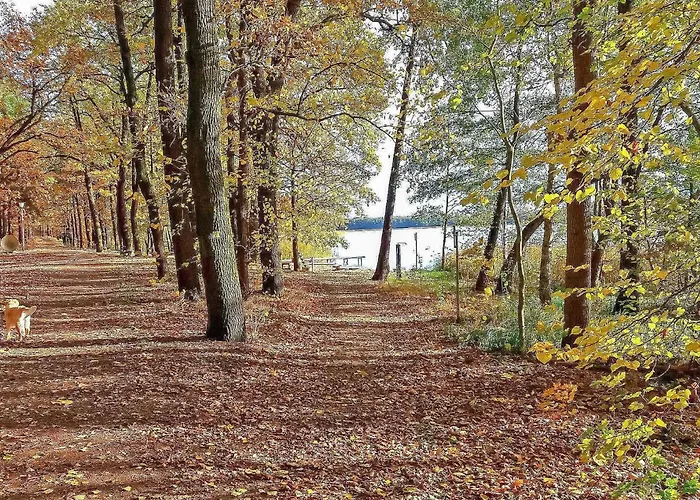 Maerkische Heide * Gross Leuthen